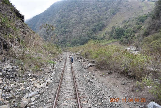 エクアドル　アンデス　列車の旅　 山岳鉄道　悪魔の鼻